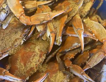 Steamed Crabs Steamed Crabs