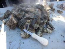 Photo Credit: North Carolina Coastal Federation/Facebook Pile of Oysters on a table